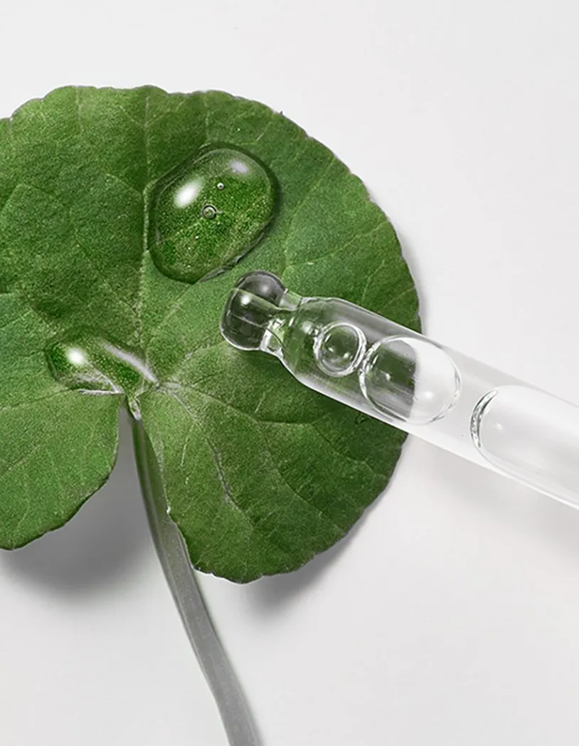 Beplain Cicaful Ampoule   Refill Set
